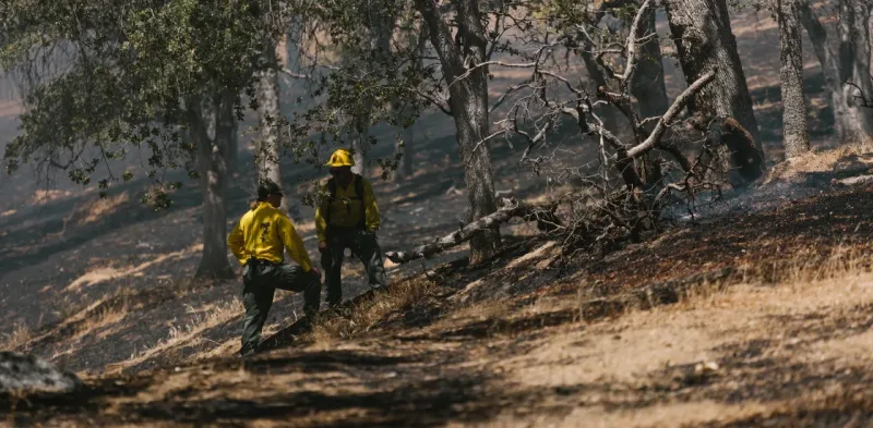 Clear, shared operational picture