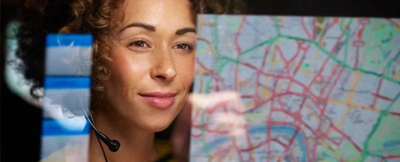 Despacho simplificado